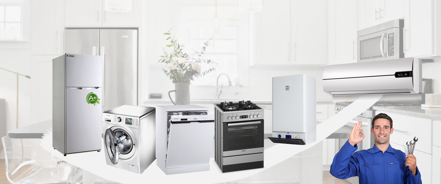 Gaziemir Electrolux Servisi
